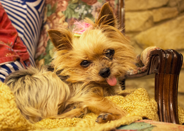 Screen Shot 2016-03-24 at 10.29.26 PM