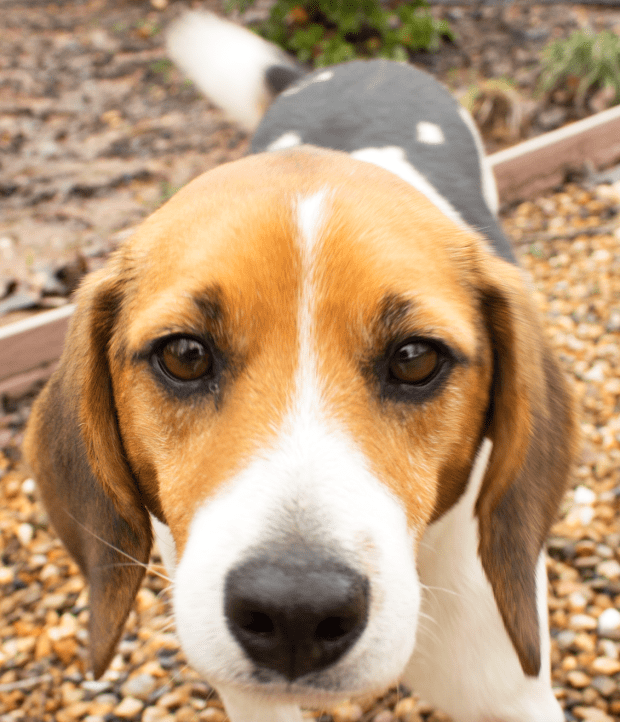 Screen Shot 2016-03-24 at 10.29.58 PM