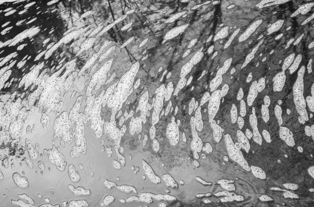 Screen Shot 2016-03-24 at 10.31.00 PM