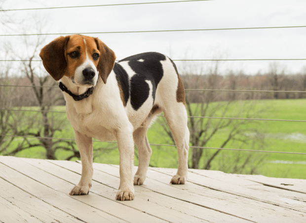 Screen Shot 2016-03-24 at 10.31.23 PM