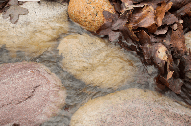 Screen Shot 2016-03-24 at 10.35.00 PM